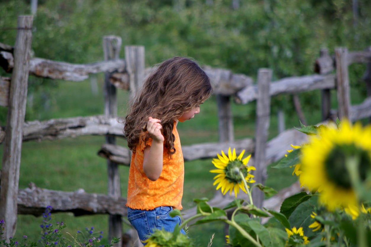 Petite fille portant un chandail orange se promène parmi des fleurs tournesol