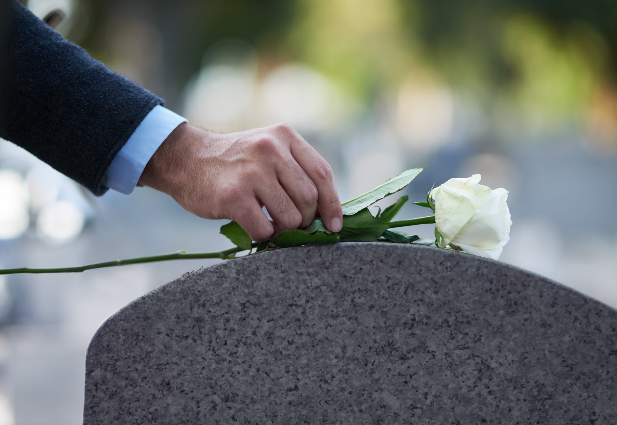 Close up of a hand laying a white rose on the top of a headstone