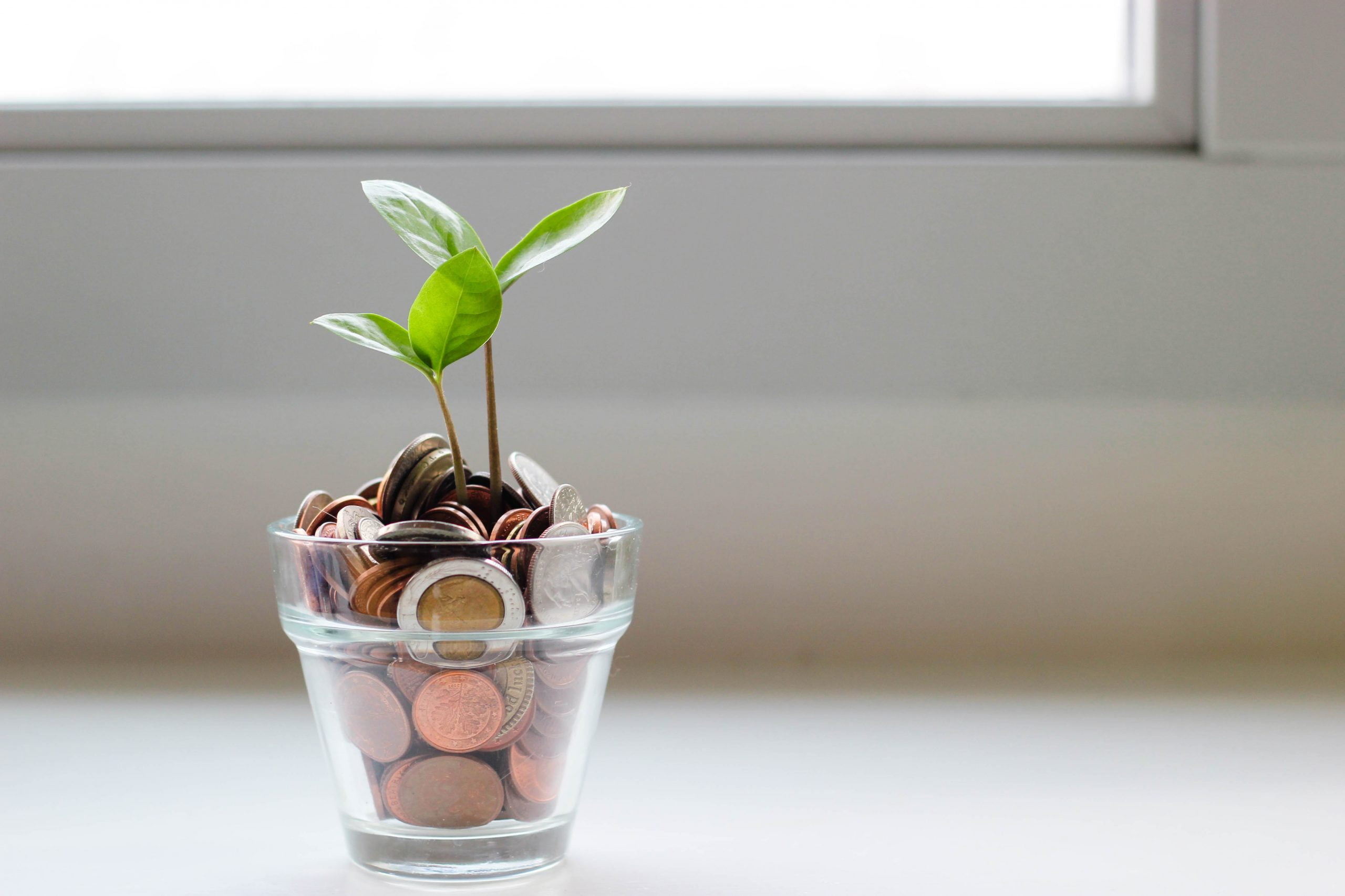 Potential Financial Benefits and Credits for Caregivers
